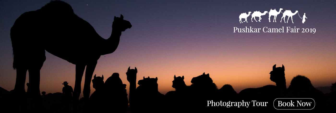 Pushkar Camel Fair Photography Tour